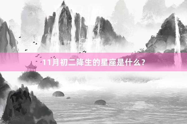 11月初二降生的星座是什么?